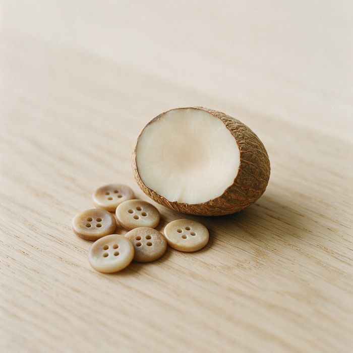 Corozo nut and buttons